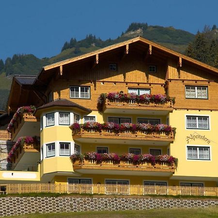 Appartement Alpenstern 格罗萨尔 外观 照片