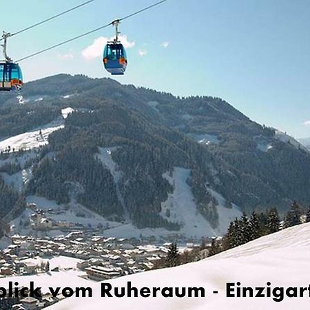 Appartement Alpenstern 格罗萨尔 外观 照片