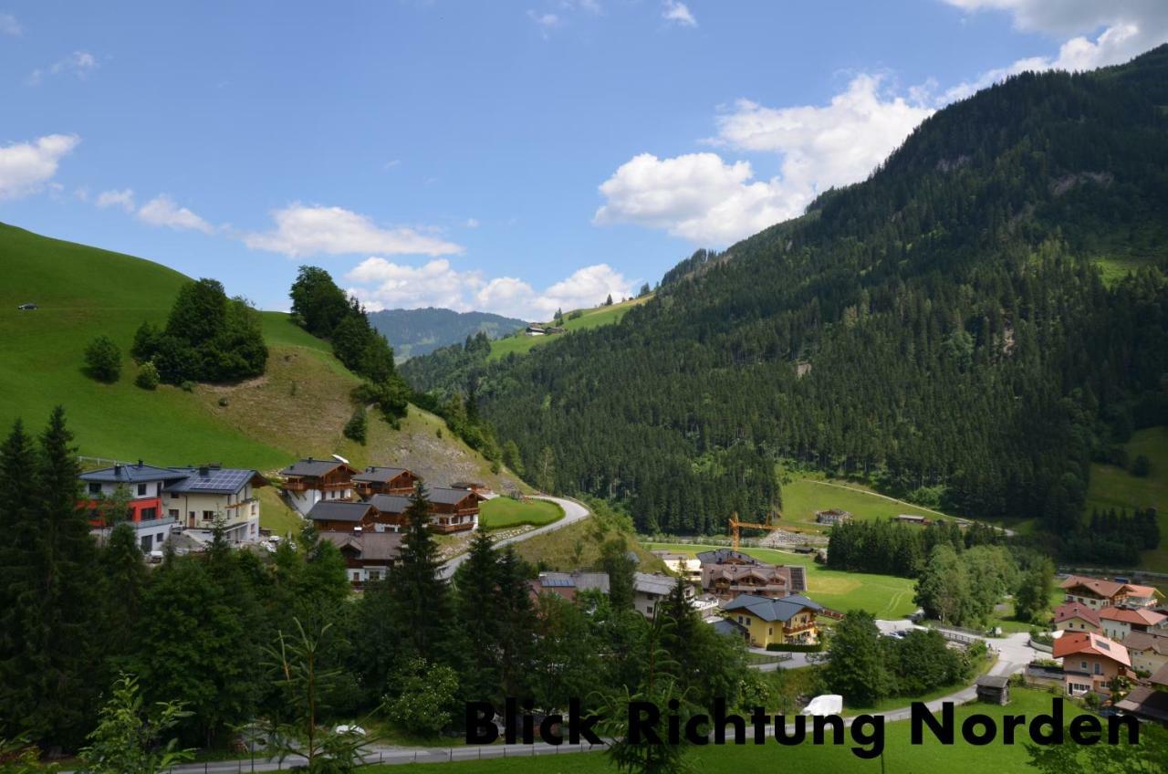 Appartement Alpenstern 格罗萨尔 外观 照片