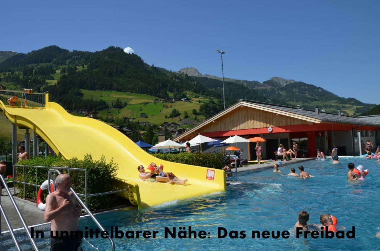 Appartement Alpenstern 格罗萨尔 外观 照片