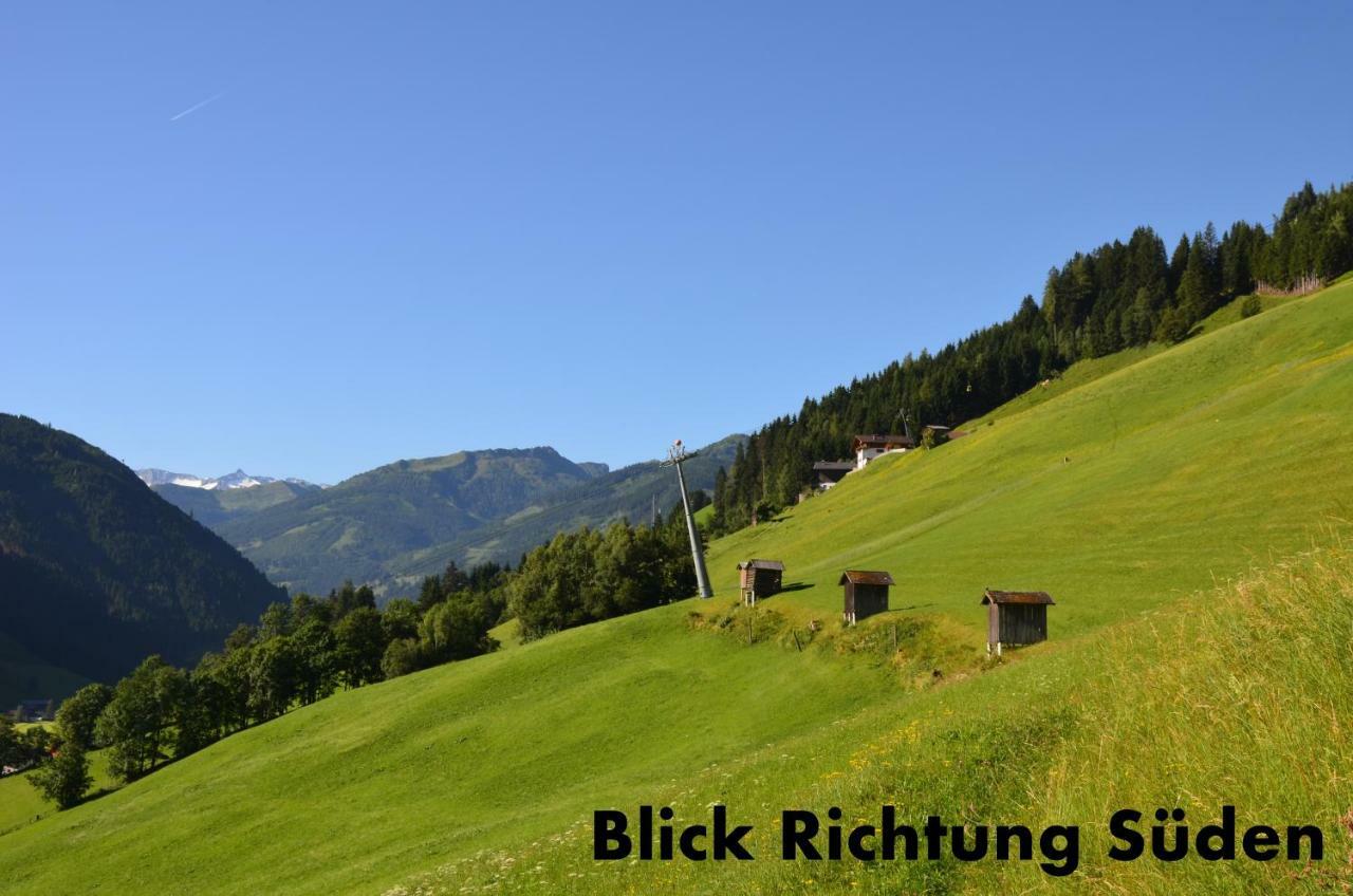 Appartement Alpenstern 格罗萨尔 外观 照片