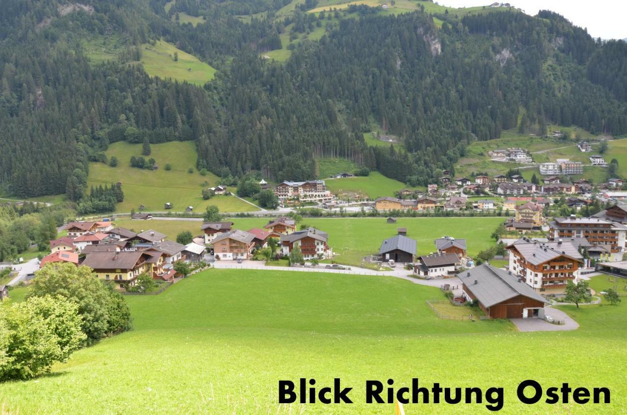 Appartement Alpenstern 格罗萨尔 外观 照片